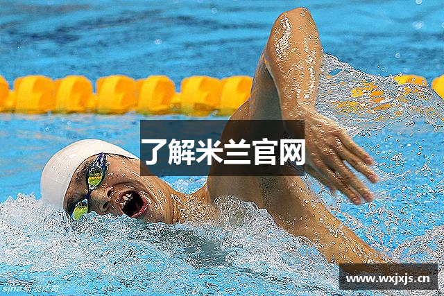 了解米兰官网